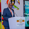 Ambassador of the Uganda High Commission in Tanzania