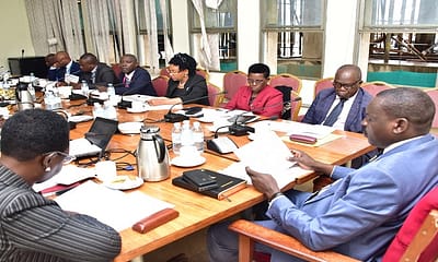 The Committee of Public Service and Local Government in session.